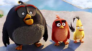 Angry Birds Sucks Now...