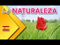 Spanish vocabulary about THE NATURE