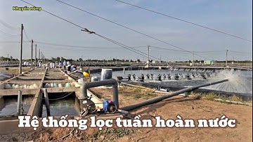 Quy trình lọc tuần hoàn nước nuôi tôm Growmax