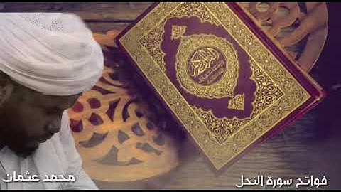 فواتح سورة النحل | الشيخ محمد عثمان حاج علي