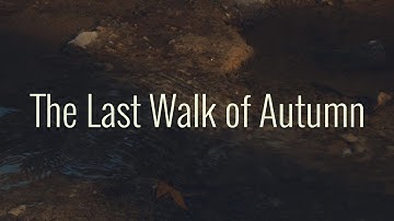 Shooting a  Sequence using the 7 Shot Method - The Last Walk of Autumn (CINEMATIC EDIT)