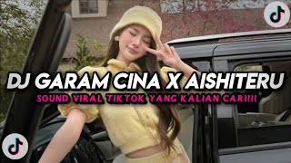 Dj Pet Polipet Garam Cina X Aishiteru 2 Slow Viral Tiktok  Song