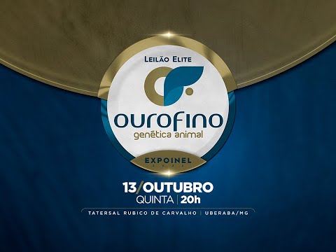 Lote 18   Bratva Ourofino   OURO 3123 Copy