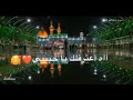 اعترفلك ياحبيبي وكلبي متكطع الم الملا محمد فريدون كلها راحت الكربلاء حالات واتساب حزين نغمه حزينه 