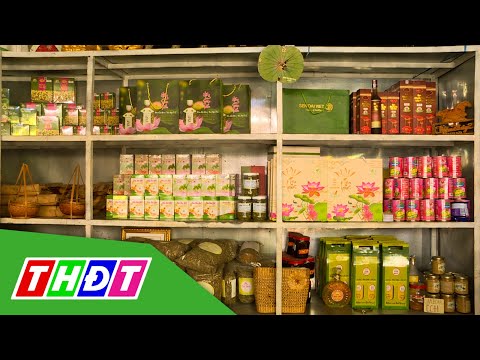 Video Đồng Tháp: Khởi nghiệp nông nghiệp lan toả ở huyện... - youtube