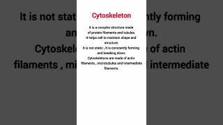 Cytoskeleton in a plant cell // BPSC TRE 4.0
