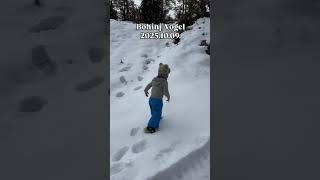 Bohinj - Vogel - Szlovénia 2025.10.09. #ittvagyunk