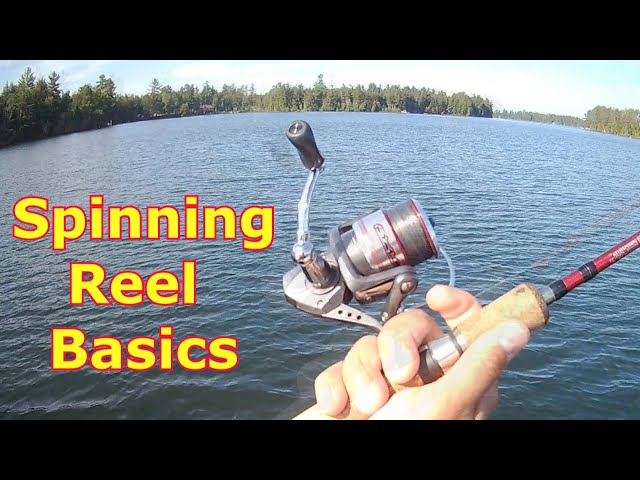 Spinning Reel Basics - How To Use A Spinning Reel 