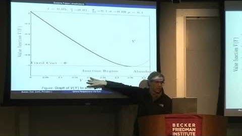 A Real Options Perspective on the Future of the Euro
