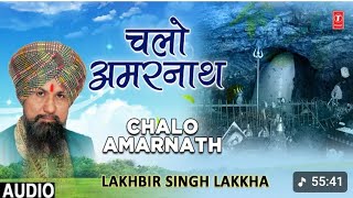 Amarnath ki amar yatra karta kismat wala अमरनाथ की अमर यात्रा #bababarfani #amarnath #chaloamarnath 