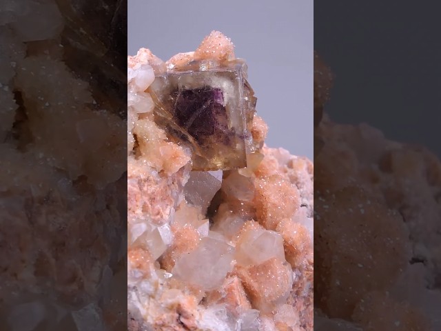 GFS0817 FLUORITE, QUARTZ - ITALY  #minerals  #crystalshop #gemstone #crystals #gems