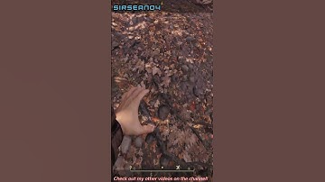 Stand Still Bro! Fallout 76