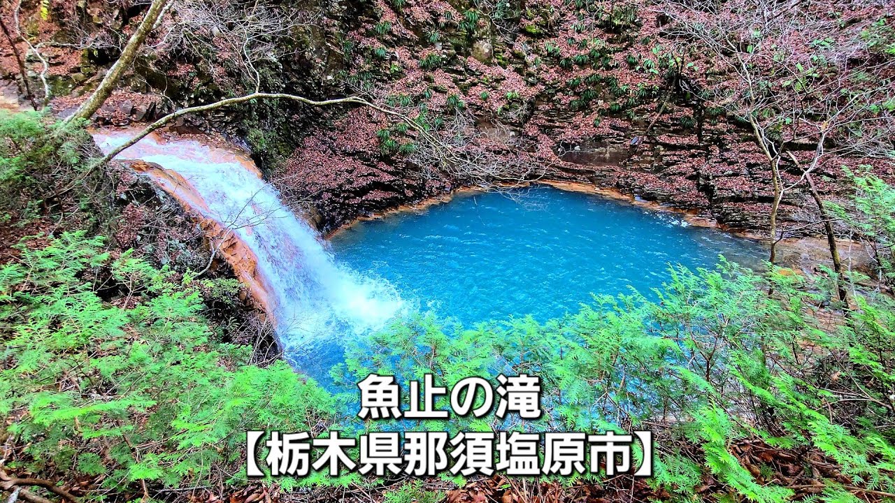 魚 止 の 滝
