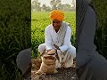HAL chalaye tune #bollywood