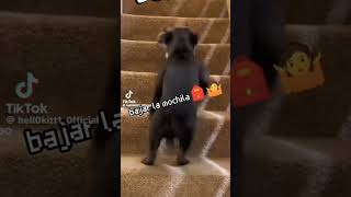 Apurate Que Vamos A Llegar Tarde