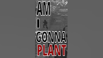 I was wondering  #gaming #cs2 #cs2clips