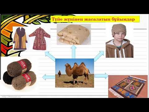 Ененің құлыншақ видеосы