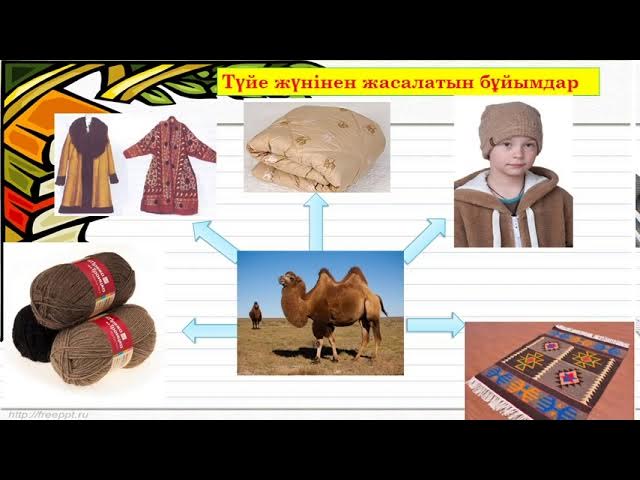 Жоғары сапада кеуделі лесбиянкаларды қараңыз