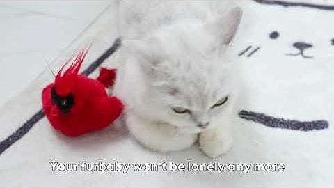 Potaroma Cat Toys Chirping Birds 2 Pcs with Catnip SilverVine