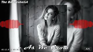 The Ambientalist - As We Grow Original Mix