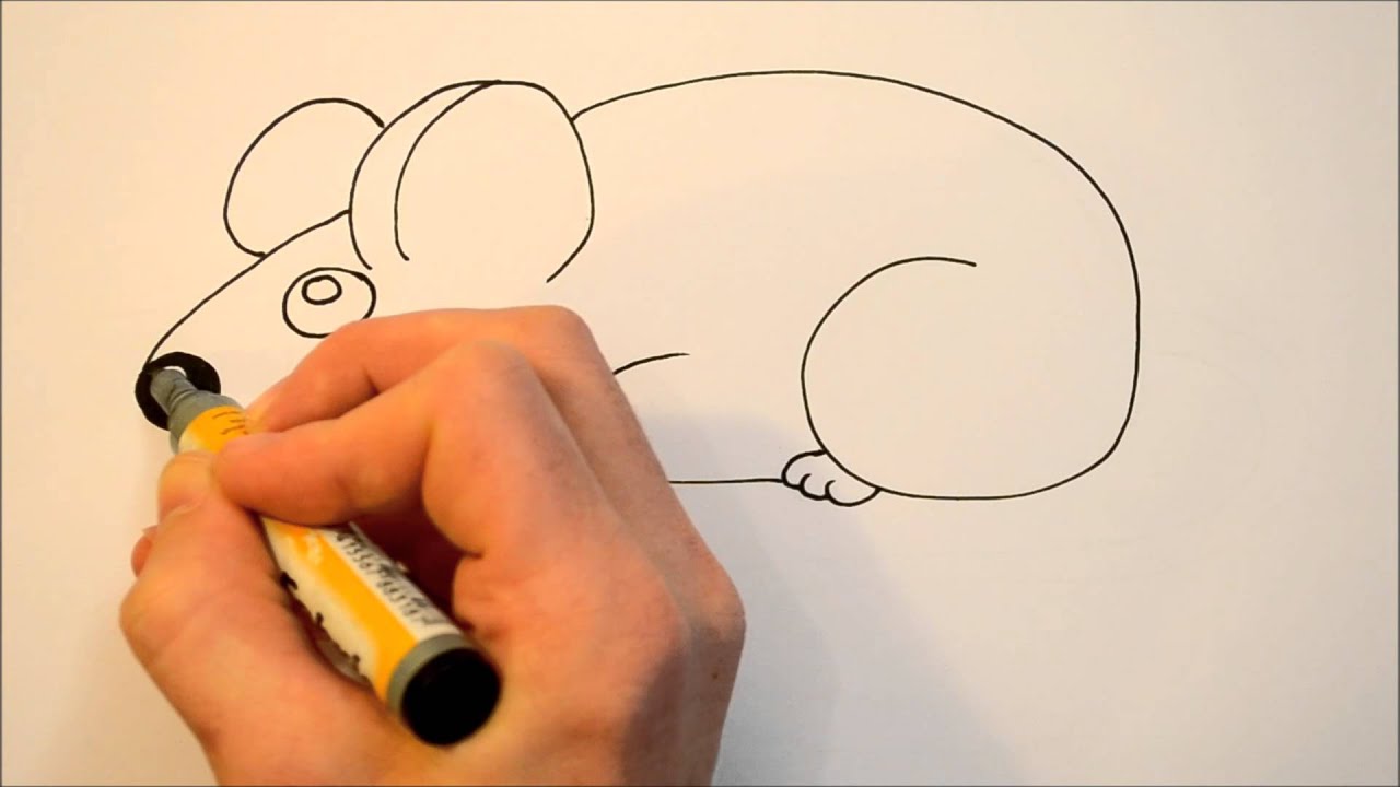 How to Draw Mouse Easy Step by Step|Chuhe Ka Chitra Banane Ka Aasan Tari...  | Mouse drawing, Drawings, Easy drawings