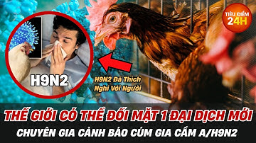 CẢNH BÁO: Thế Giới Đối Mặt Nguy Cơ Đại Dịch Mới Từ Virus Cúm Gia Cầm H9N2 I TIÊU ĐIỂM 24H #tintuc