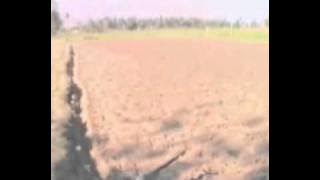 Verusanagaku madakasaalu