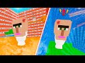 Minecraft Parkour in The Maze by Skibidi Toilet | NEW GAMES