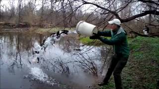 Famous Trout Stocking Wissahickon 2026 Net Worth