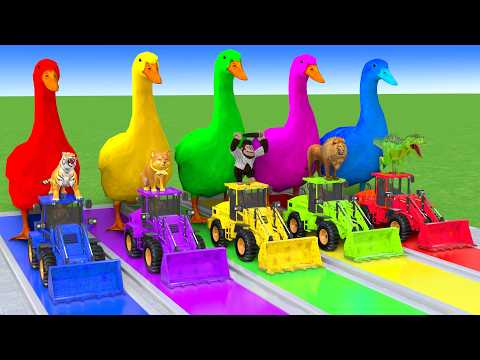 5 Giant Duck Cartoon,Cow,Elephant,Tiger,Dinosaur,Paint Wild Animals Crossing Fountain Animation #665