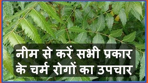 Health Tips- नीम से करें सभी प्रकार के चर्म रोगों को जड़ से ख़त्म  Charm Rog ka Sampurn uchar Neem Se