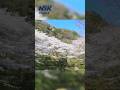 Exploring NSK&#39;s Backyard – Vol.2 Reception Garden #shorts