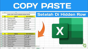 cara copy paste hasil hidden row di excel