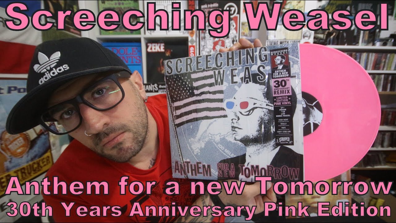 洋楽 SCREECHING WEASEL / ANTHEM FOR A NEW Screeching Weasel 
