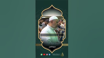 تلاوة عطرة من سورة النحل