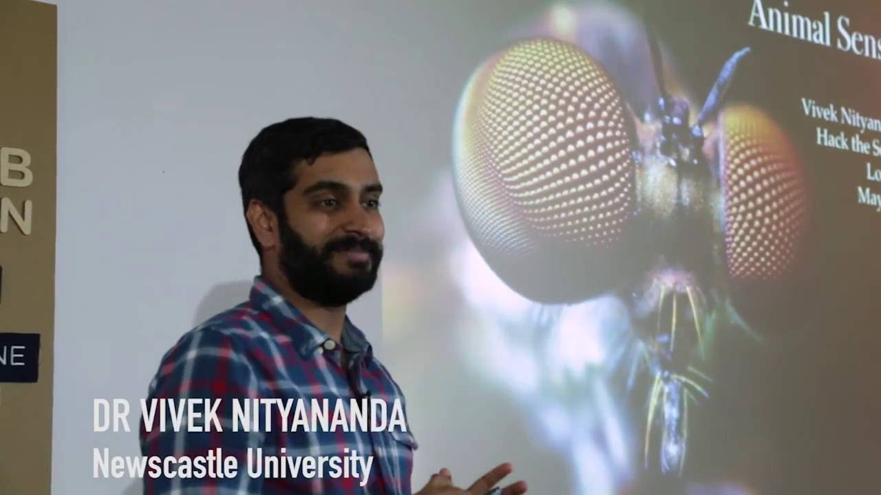 Dr Vivek Nityananda on Animal Perception + Mantis 3D Vision - Hack the Senses S01E04 Animal Senses