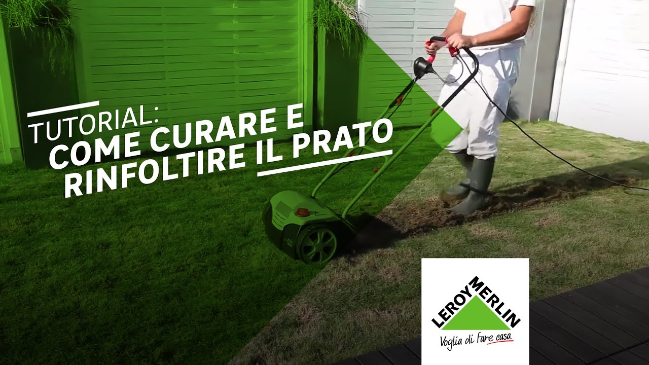 7 Errori da Evitare nella Cura del Prato in Estate | Bestprato