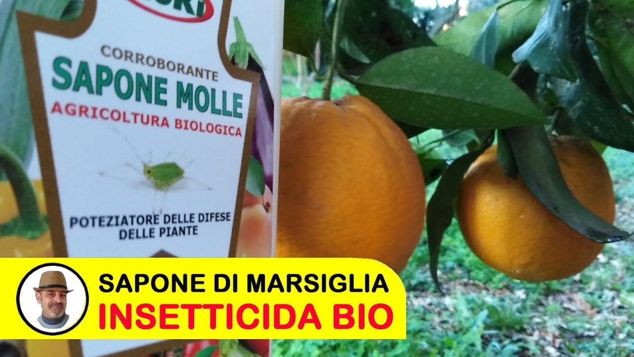 SAPONE POTASSICO IL VERO SAPONE DI MARSIGLIA 