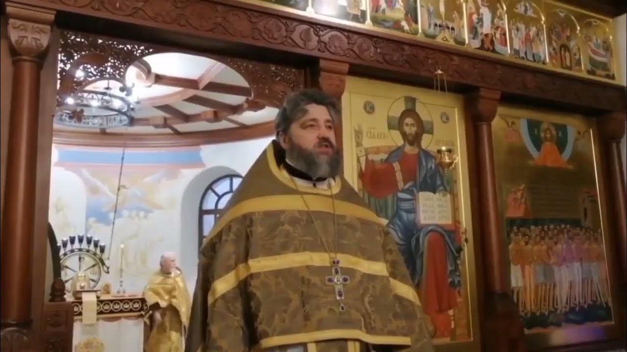 приход в церкви. патриарх выпускает птиц на благовещение. помоги приходу ру. прихожане в православном храме. видео приходы.