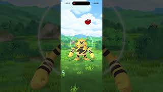 Catch a Electabuzz