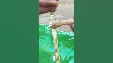 Amazing Bird Trap With Plastic Bottle Shorts Birds Birdtrap Shortvideo Pigeon 