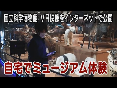 自宅でミュージアム体験　国立科学博物館　ＶＲ映像をインターネットで公開