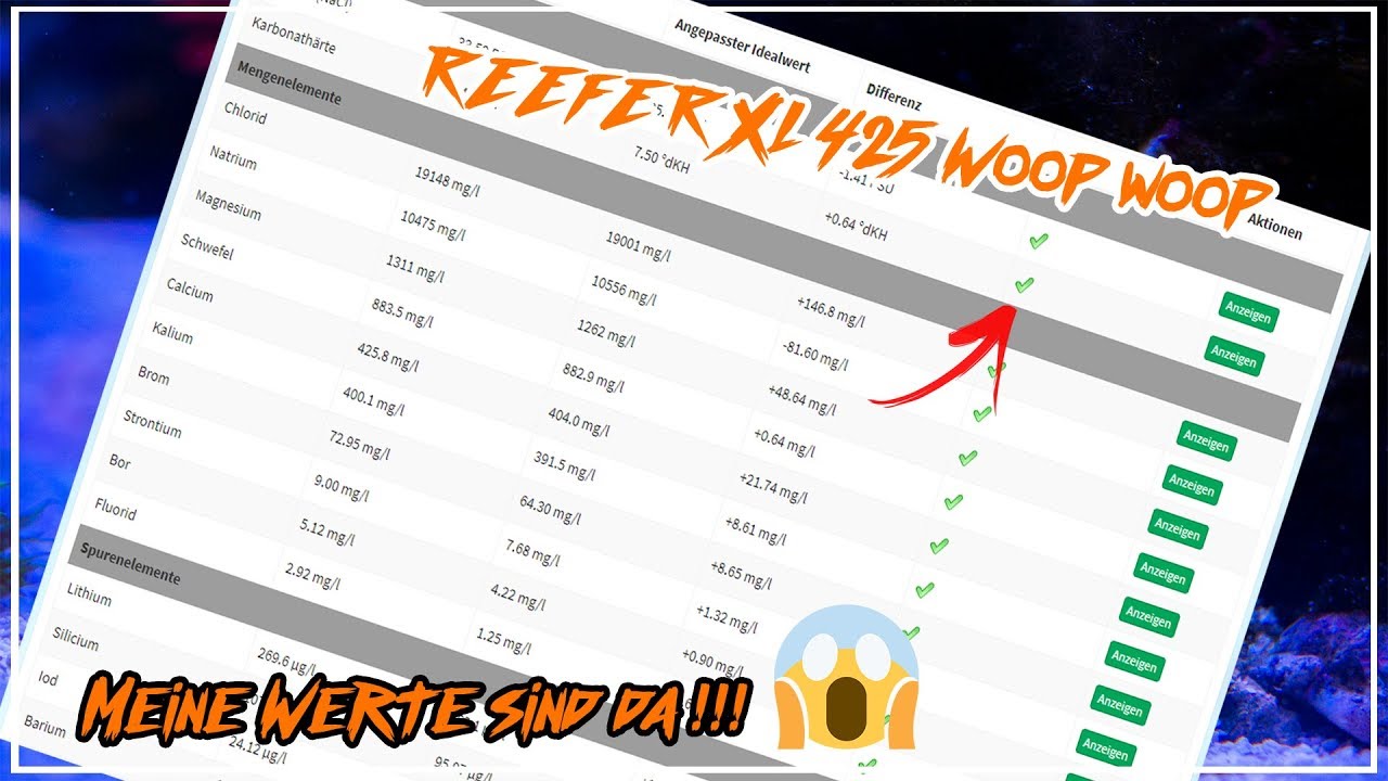 Meine Werte sind da !!! Red Sea Reefer Xl 425 Marcoboom YouTube