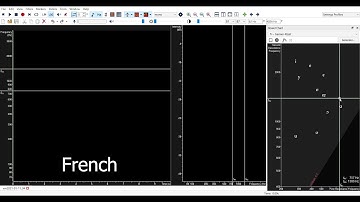 Video Example 30 Formant Frequencies of Different Languages