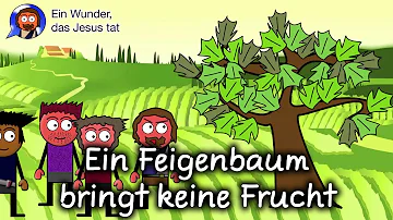 Was ist keine Frucht?