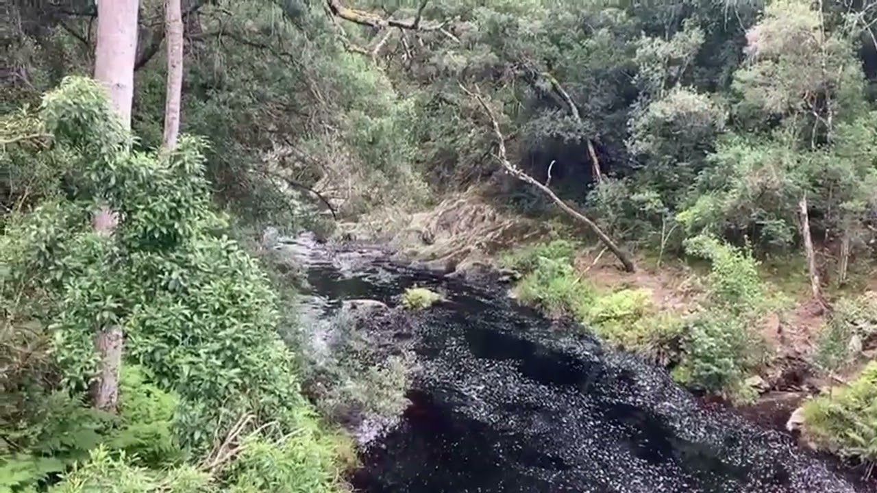 Simple bridge crossing - Old George /Knysna road