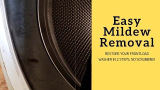 How to Remove Mildew From Frontload Washer the Easy Way