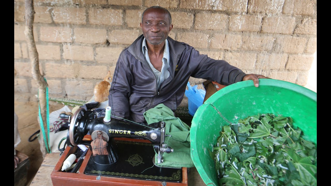 Elevage de chenilles dans un village africain - version française