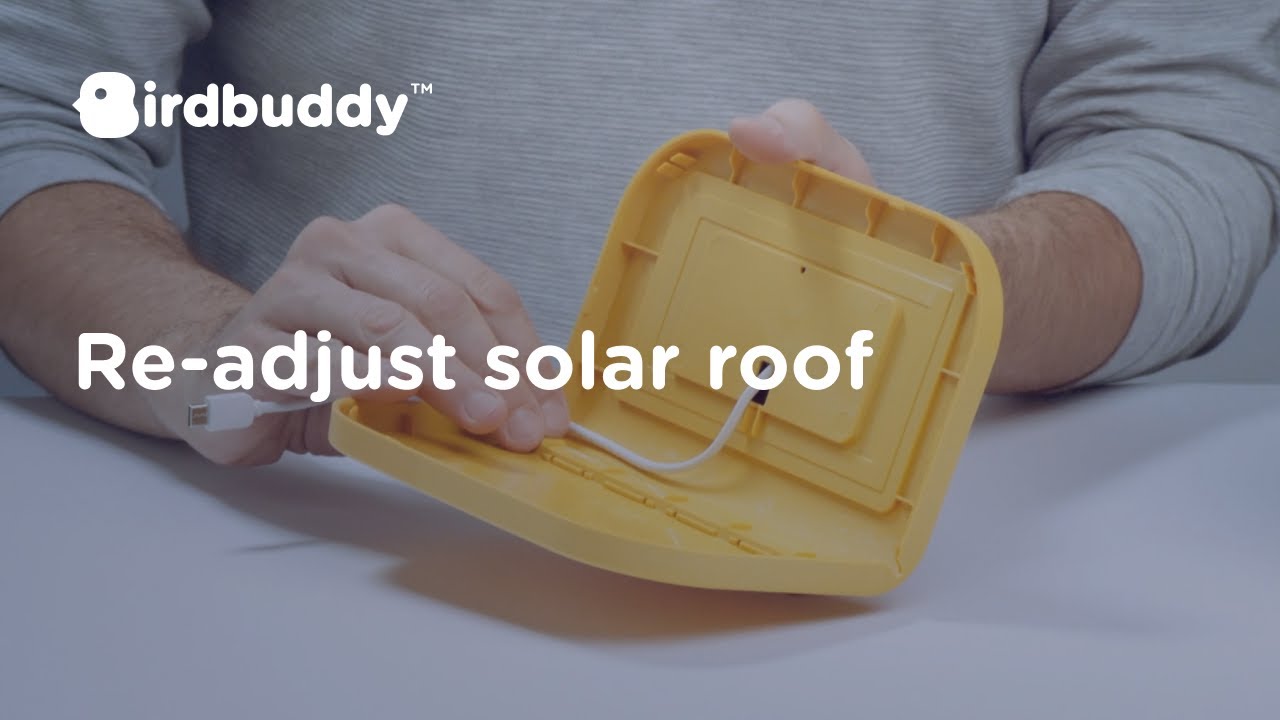 Bird Buddy Smart Feeder with Solar Roof