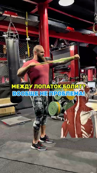 Между лопаток болит? НЕ ПРОБЛЕМА! #спина #упражнение - YouTube